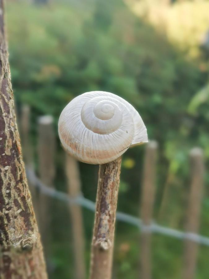 Ferienglueck An Der Nordsee Buche Deine Erdgeschoss-Ferienwohnung Mit Kamin Terrasse Und Eingezaeuntem Garten Fuer Unvergessliche Auszeiten Altfunnixsiel Eksteriør billede