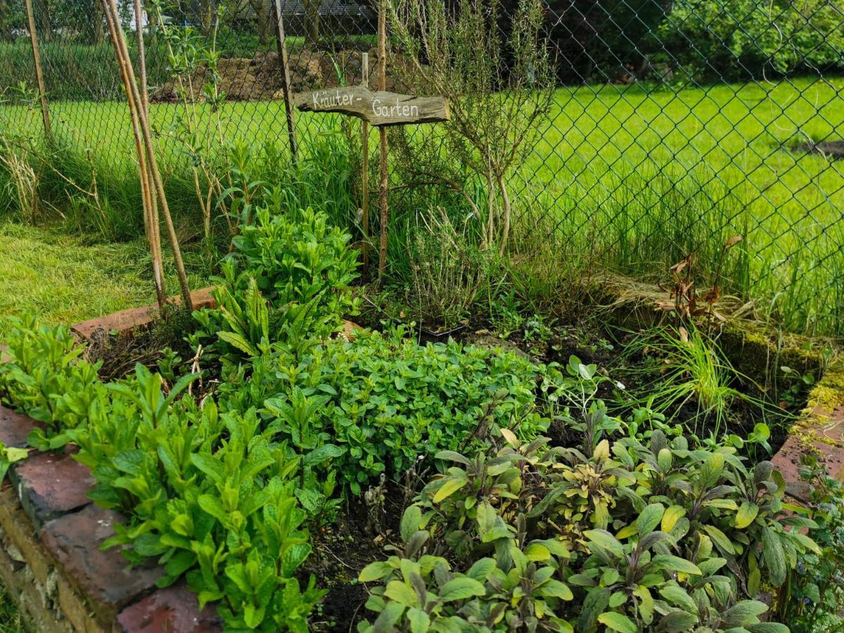 Ferienglueck An Der Nordsee Buche Deine Erdgeschoss-Ferienwohnung Mit Kamin Terrasse Und Eingezaeuntem Garten Fuer Unvergessliche Auszeiten Altfunnixsiel Eksteriør billede